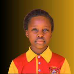 Product name