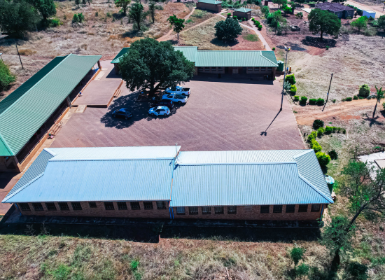 Gold Wanted